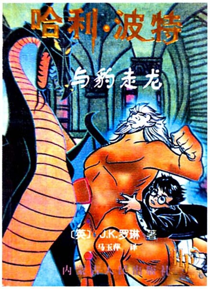 Книга «Гарри Поттер и Леопард идут к Дракону». Фото из открытых источников