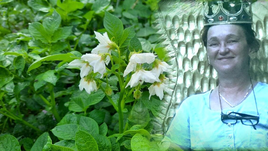 ох, уж это хозяйство! 