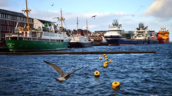    © РИА Новости . Алексей Даничев