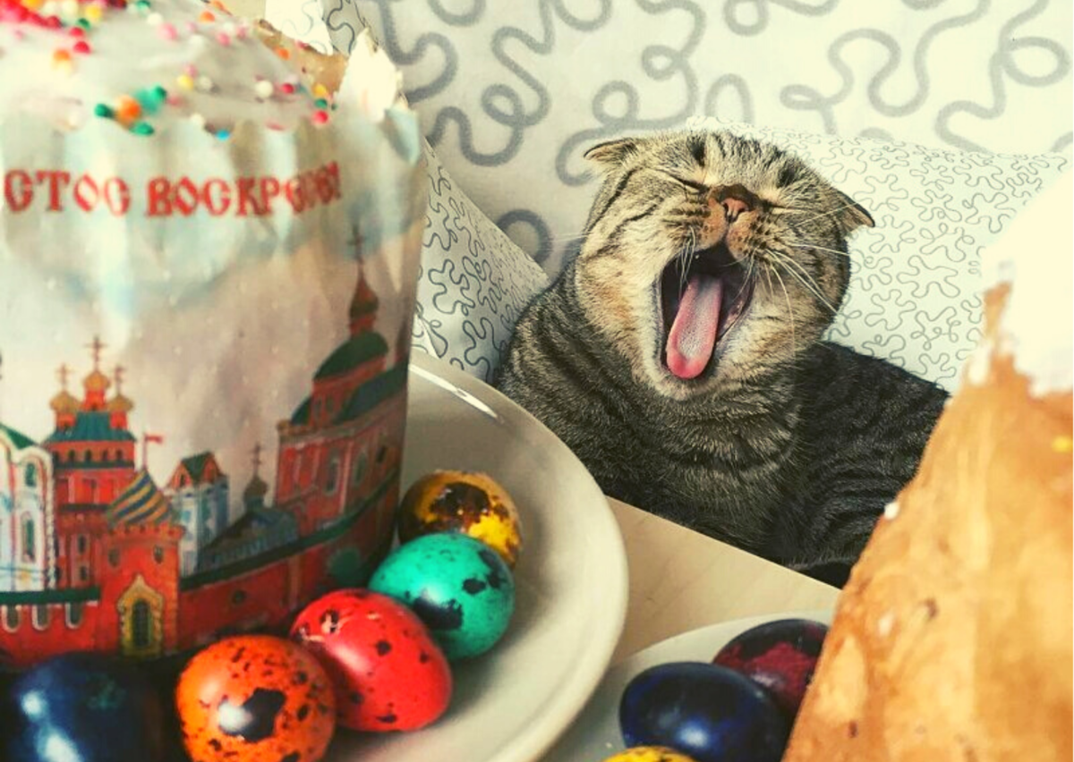 ���������� ������. ��������, ������� ���� �����. �������� ����: tunnel.ru