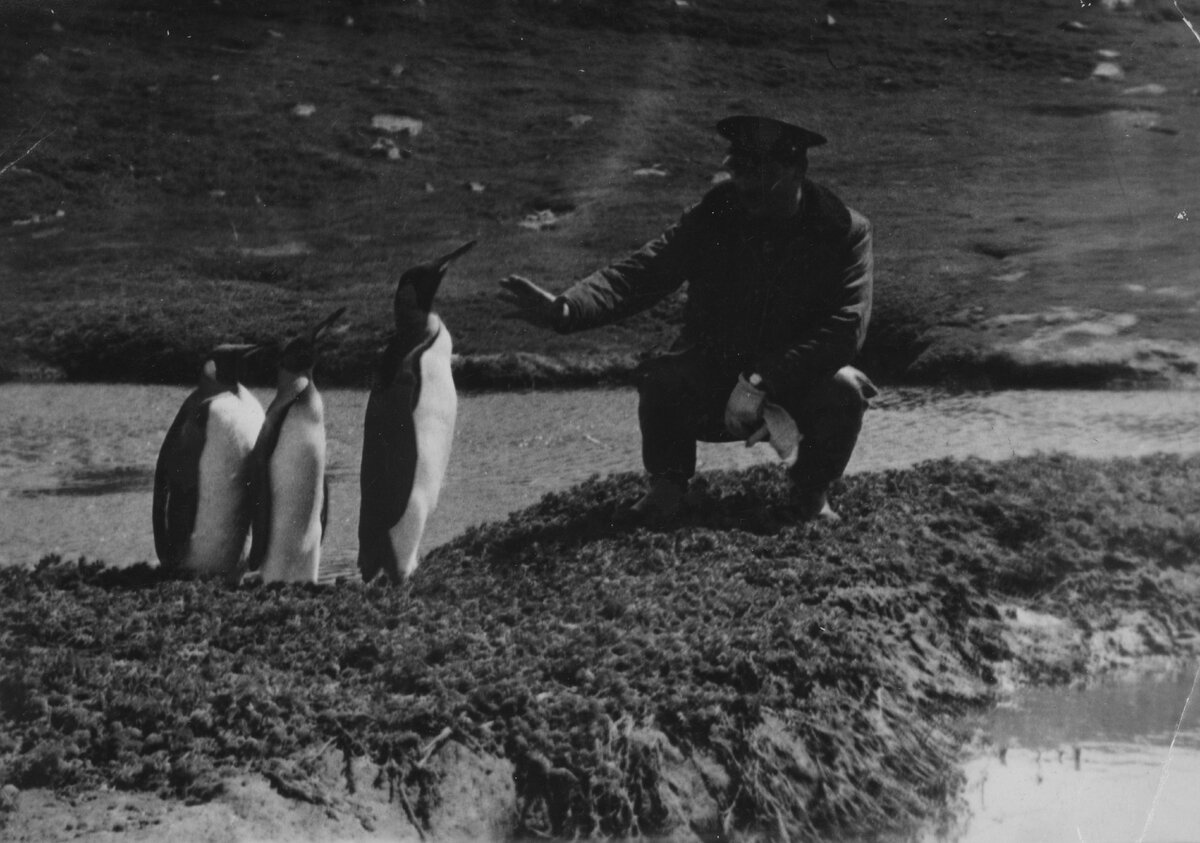 Вот так встреча!