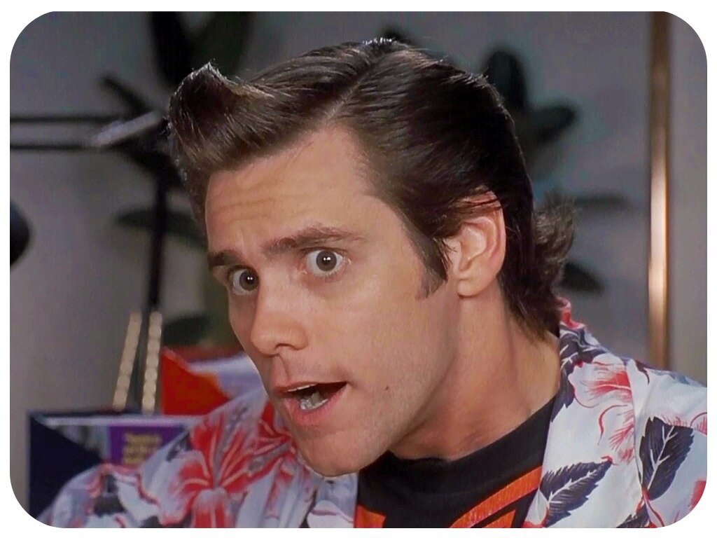 Джим керри едет. Джим Керри Вентура. Роли Джима Керри. Jim Carrey 2000.