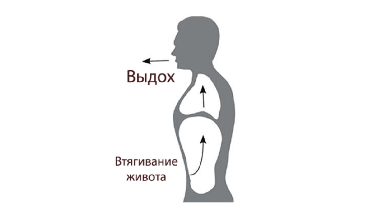 Почему важно каждый день делать диафрагмальное дыхание | Шишова Ольга  Ивановна | Дзен