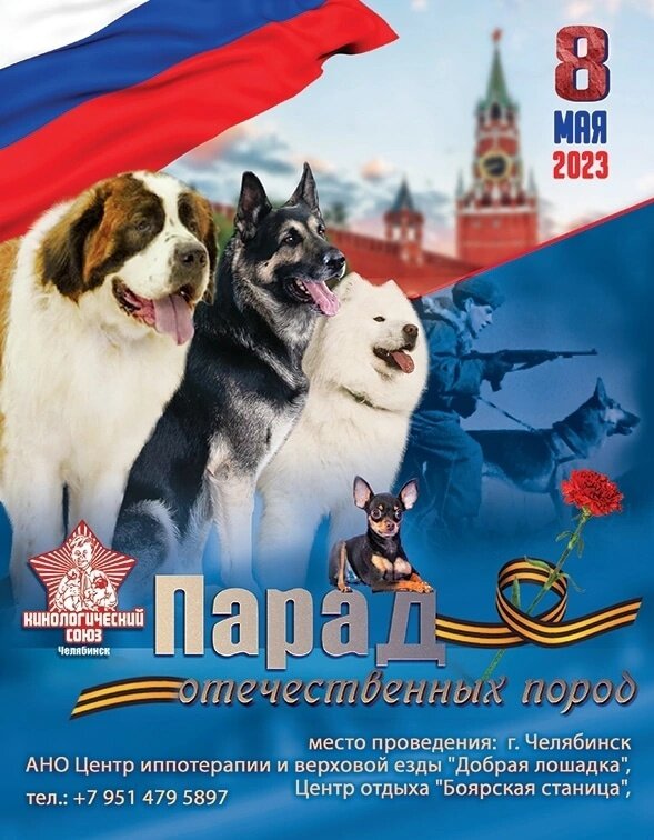 Фото: Кинологический союз Челябинска