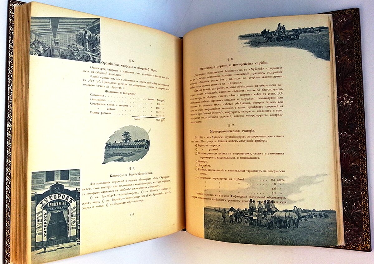 Какой была погода на юго-востоке Кубани 130 лет назад? Что изменилось за  эти годы? | Любимый Северный Кавказ | Дзен