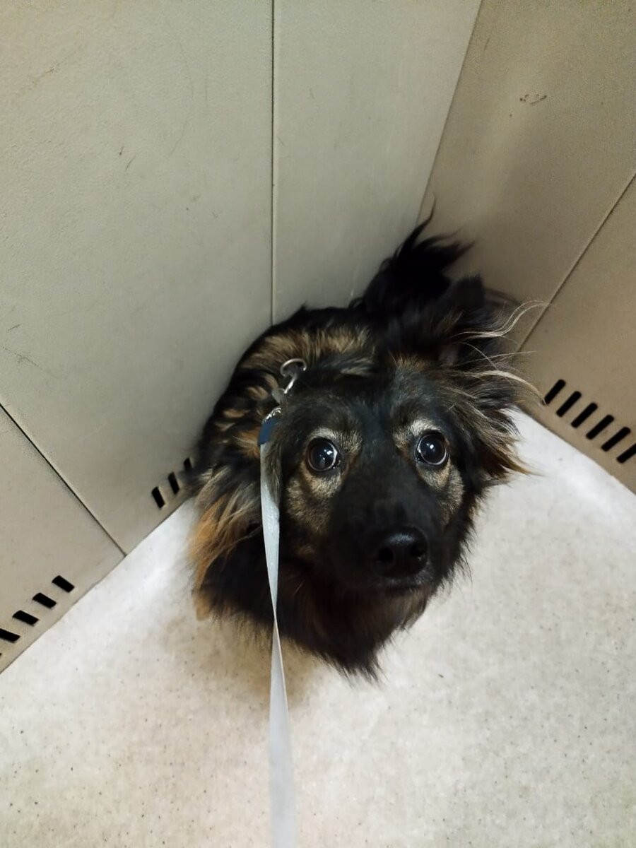 Маленькая комнатка, которая оказалась лифтом