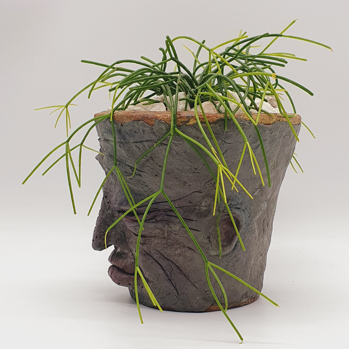 Фото автора: горшок с рипсалисом. Глина, самодельная масса, японская пастель, лак для камня.