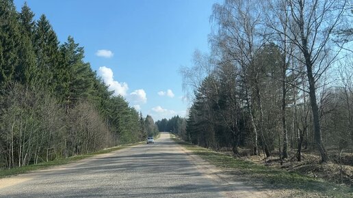 Отличная погода-повод покататься по красивому лесу. 🚘18.04.2023