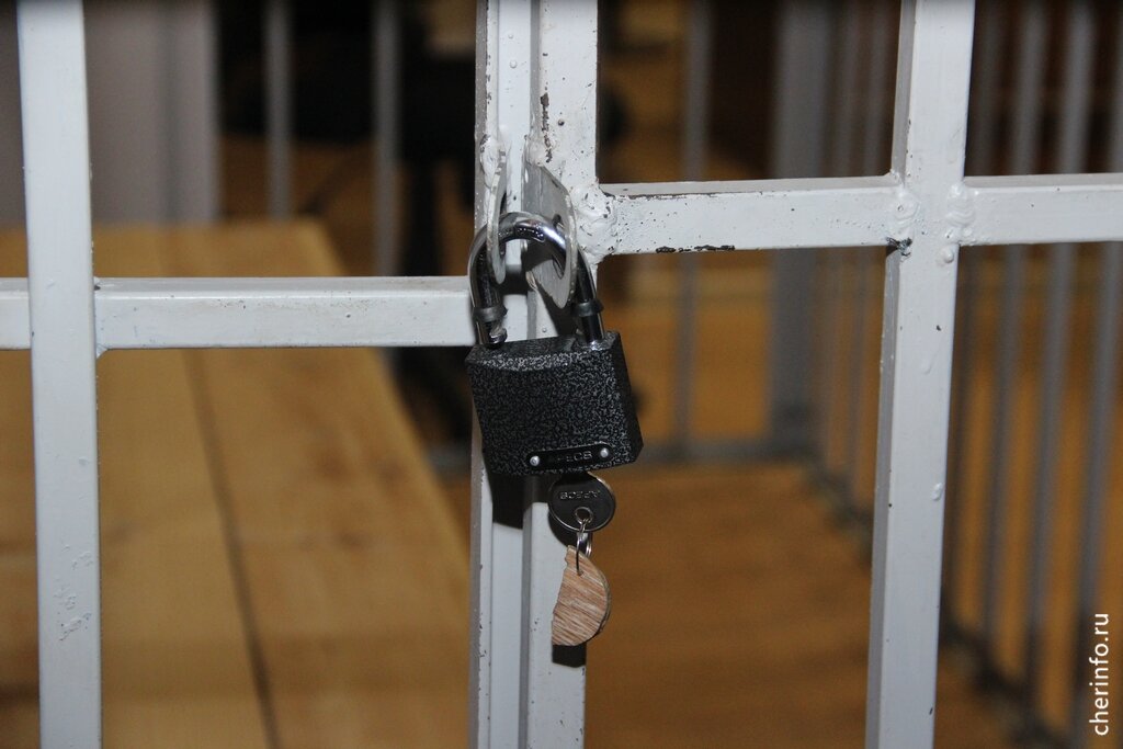    Приговор 38-летнему обвиняемому вынес Череповецкий городской суд.