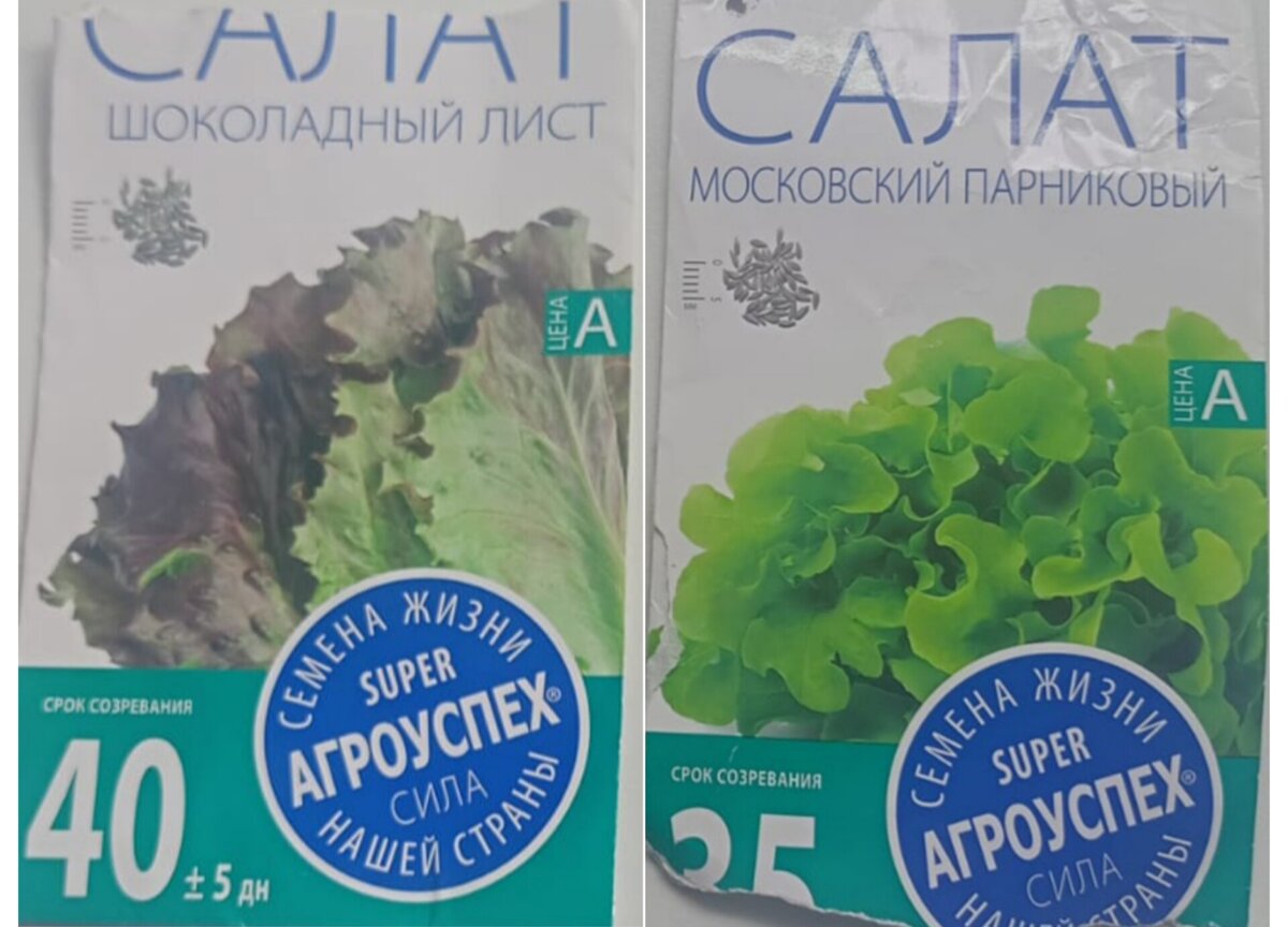 Извиняюсь за качество фото. 