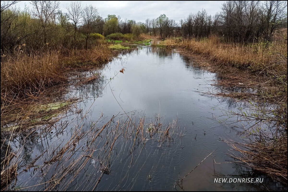 Река Тихая в районе хутора Назарова (листайте!)