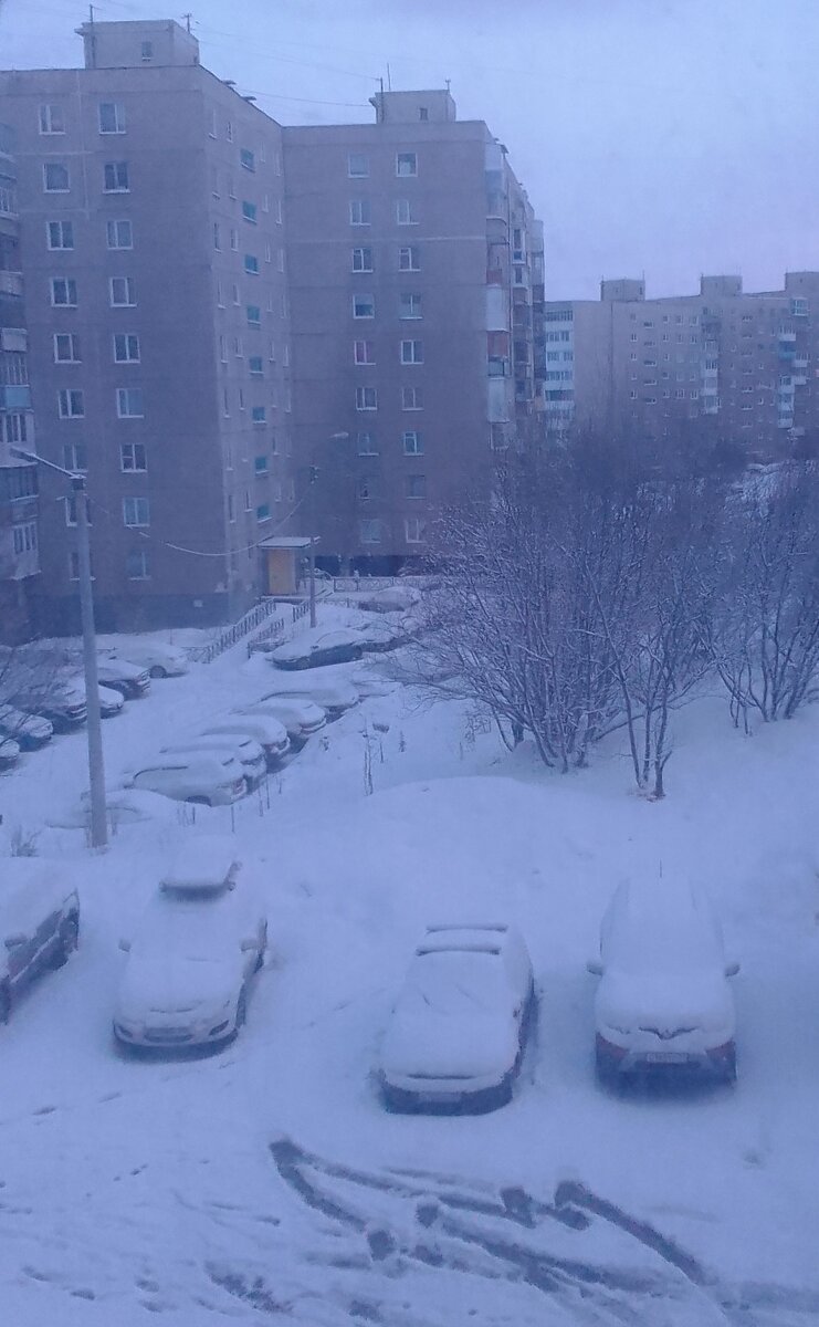 Фото автора.