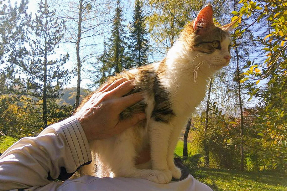 Причина №2: Выражение любви и привязанности