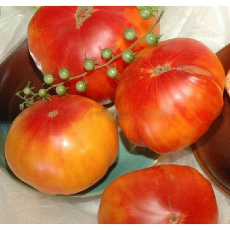 Томаты - биколоры. Калейдоскоп оттенков цвета и вкуса! Очень "вкусный ...