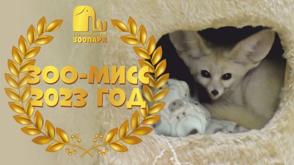    Фото: Екатеринбургский зоопарк