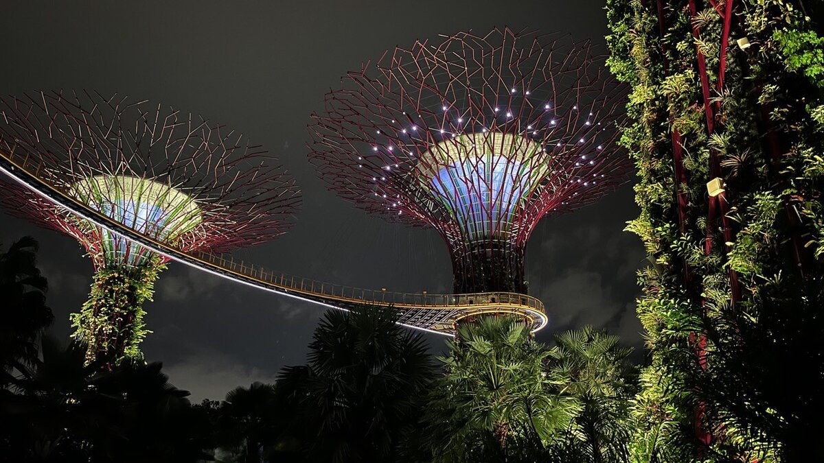 Сингапур, фото автора