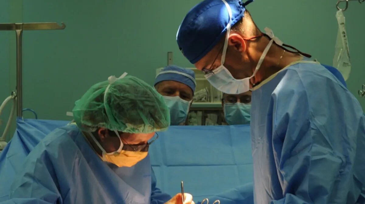 Фото: pxhere.com