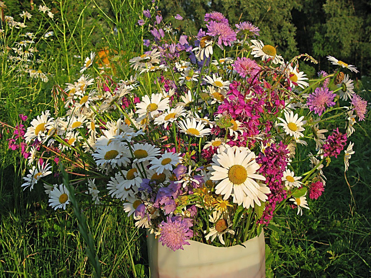 (Из открытых источников)