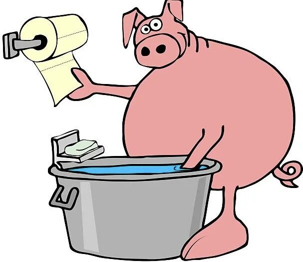 Картинка из свободного доступа 