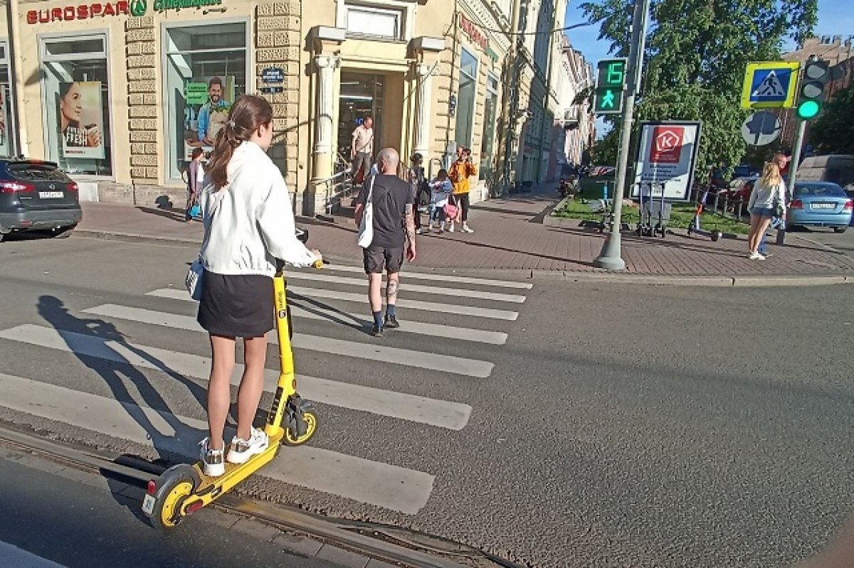    В Петербурге изменят схему дорожного движения для регулировки самокатов