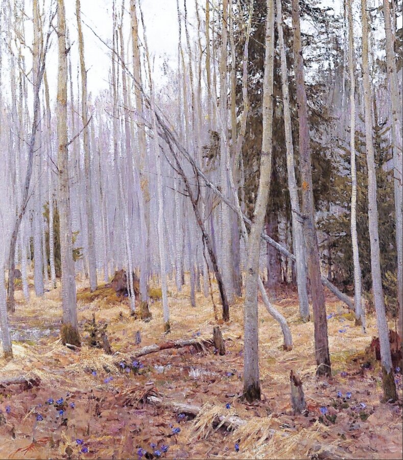  Подснежники. Грицай Алексей Михайлович