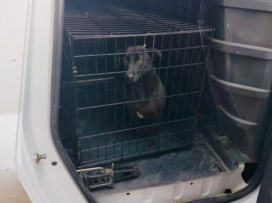     Фото: ВК Андрей Борисов