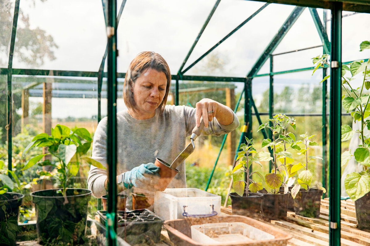 Стеклянная теплица из стекла