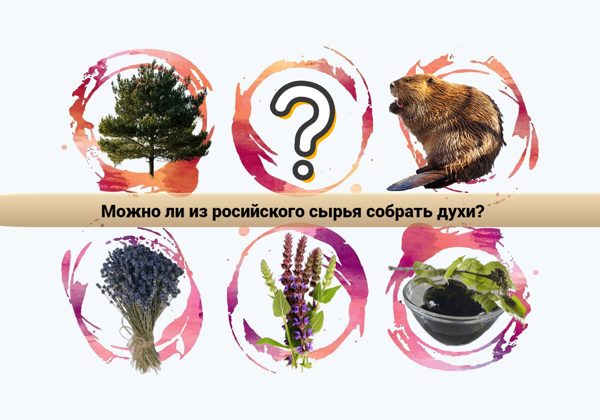 Коллаж: Гид Парфюм.