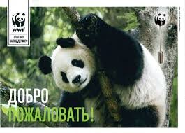    WWF признали иноагентомWWF
