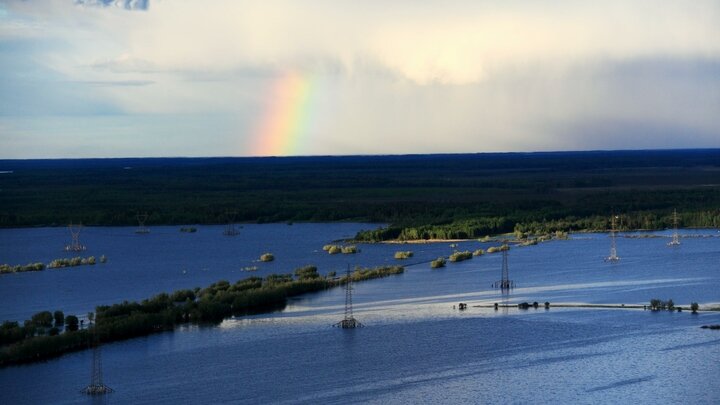 ФОТО: NIKOLAY GYNGAZOV/GLOBALLOOKPRESS