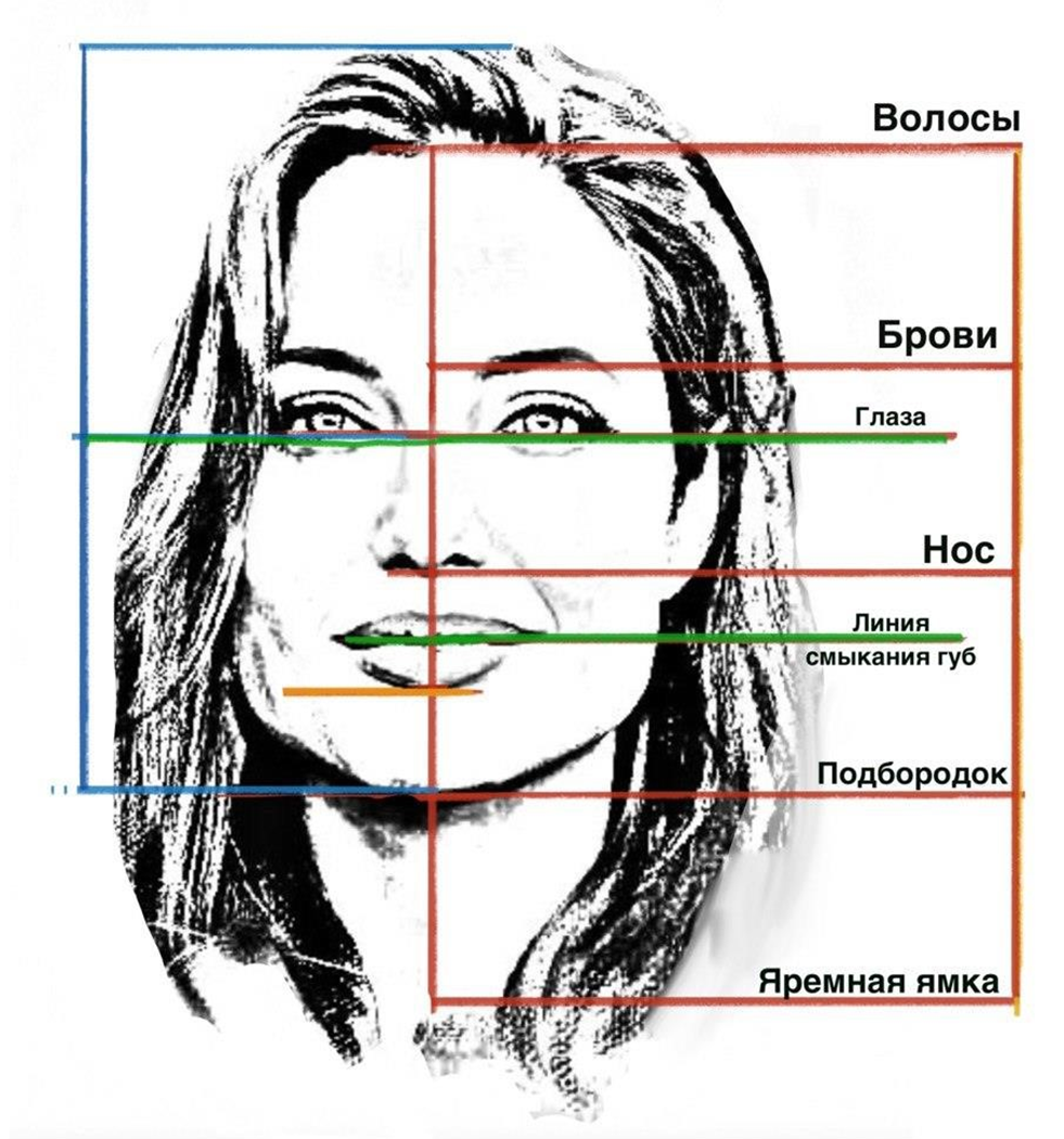 ПРОПОРЦИИ В ПОРТРЕТЕ | Уроки рисования. Я УЧУСЬ РИСОВАТЬ. | Дзен