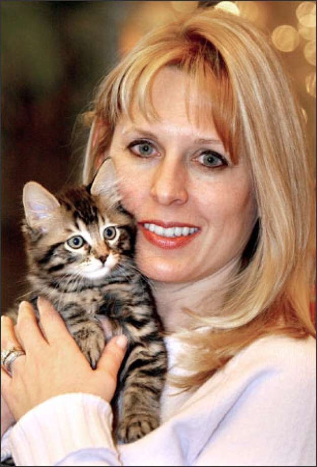      Клонированный котенок по кличке Маленький Никки в 2003 году