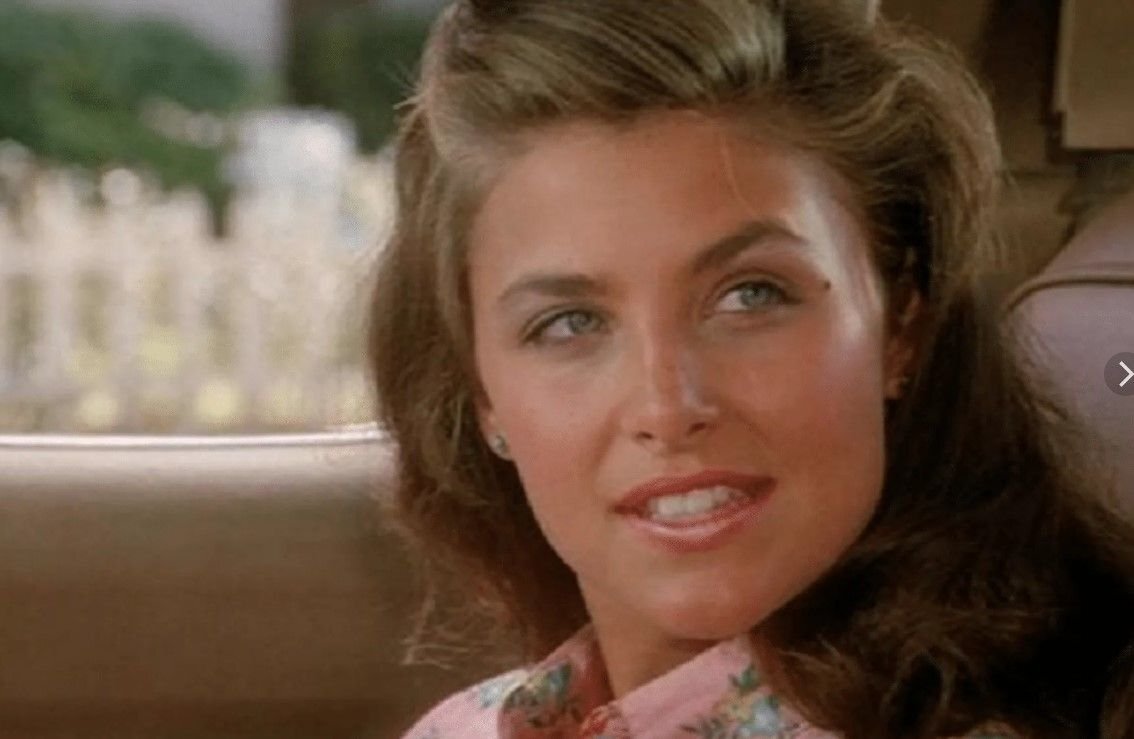 «Дух мщения» Шерилин Фенн