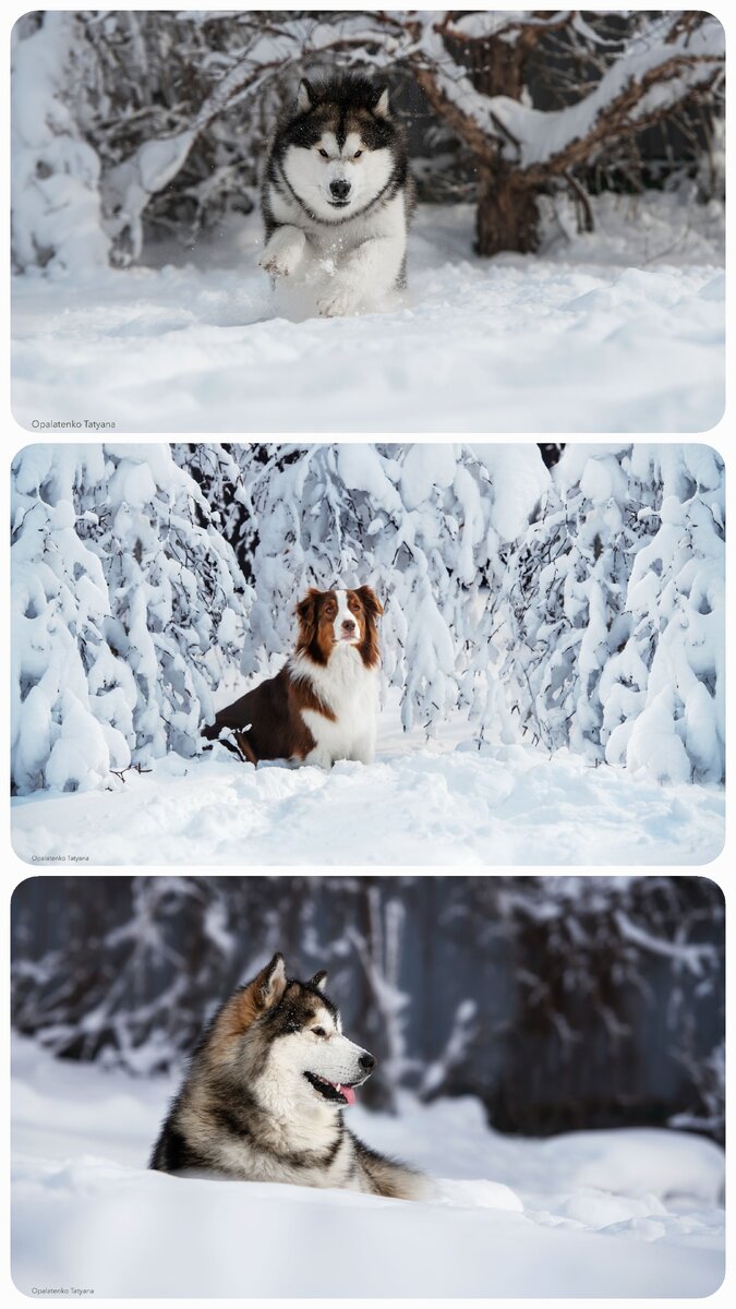 В этом году весенние фото у нас такие 🤣