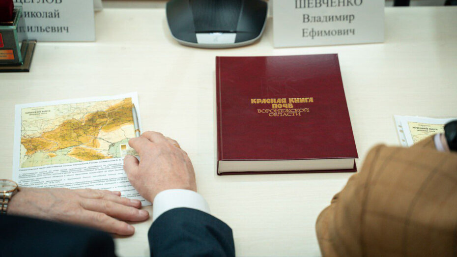    Автор фото: пресс-служба ВГУ