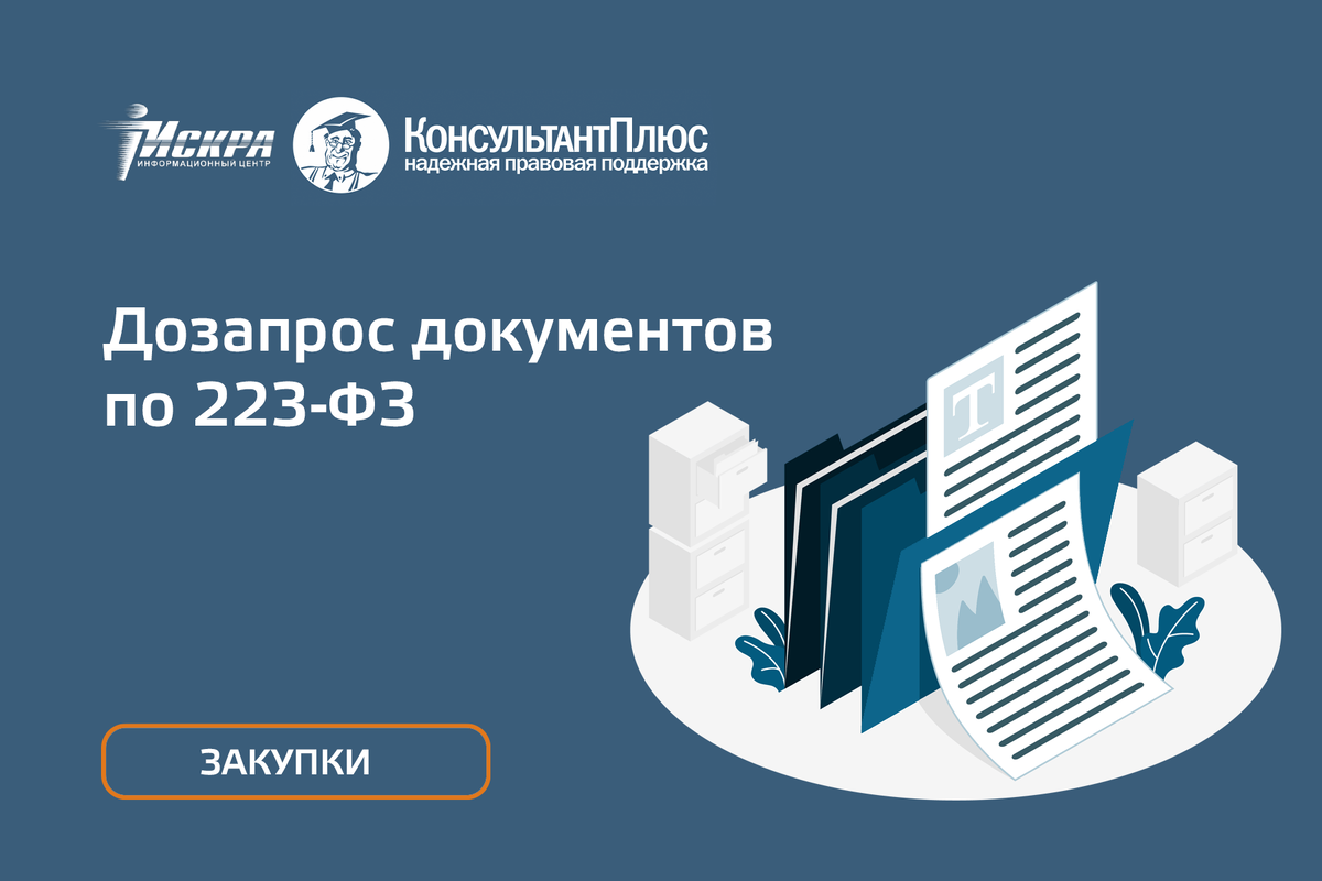 Красноярский информационный центр. Дозапрос. Консультант плюс схема.