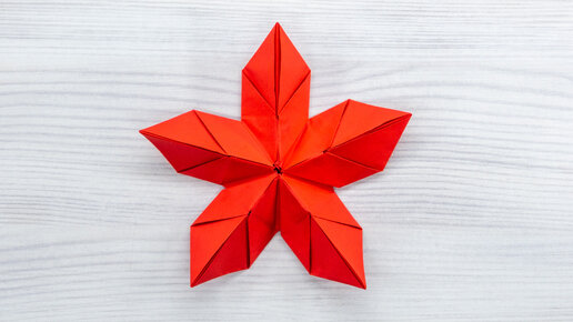 Красота модульного оригами — создание цветка из 5 лепестков