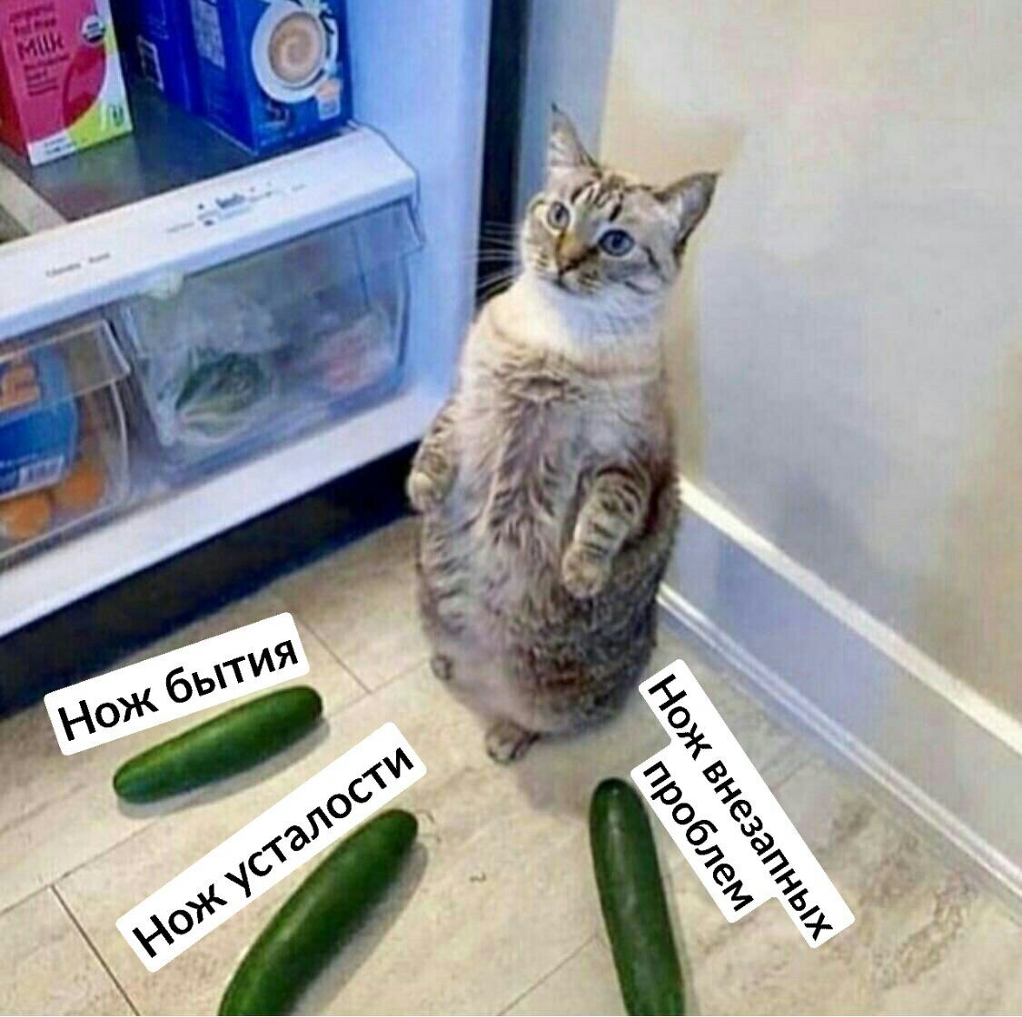 Из открытых источников 