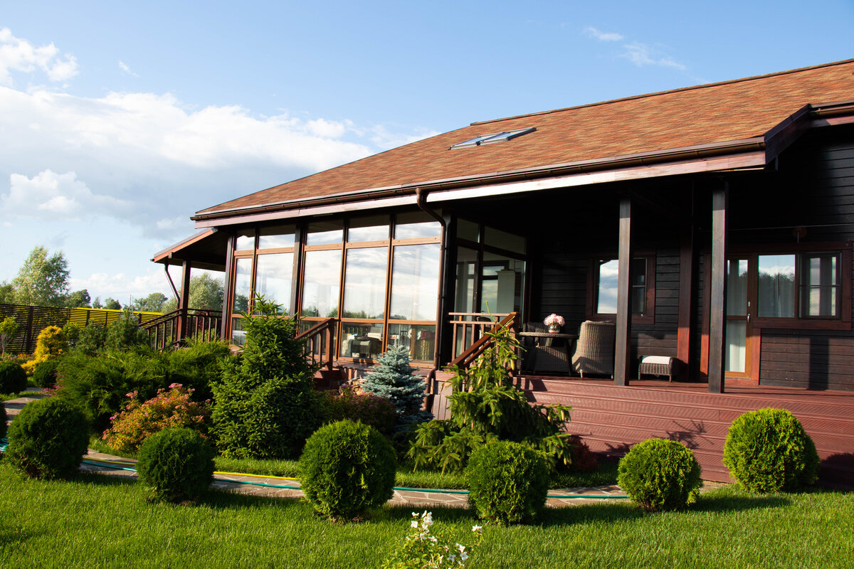 Хвойные растения, посаженные до нас