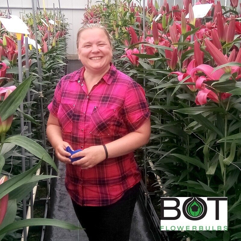 Фото из открытой сети 