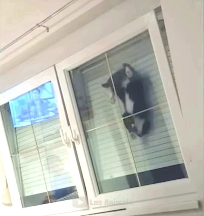 Между небом и землей