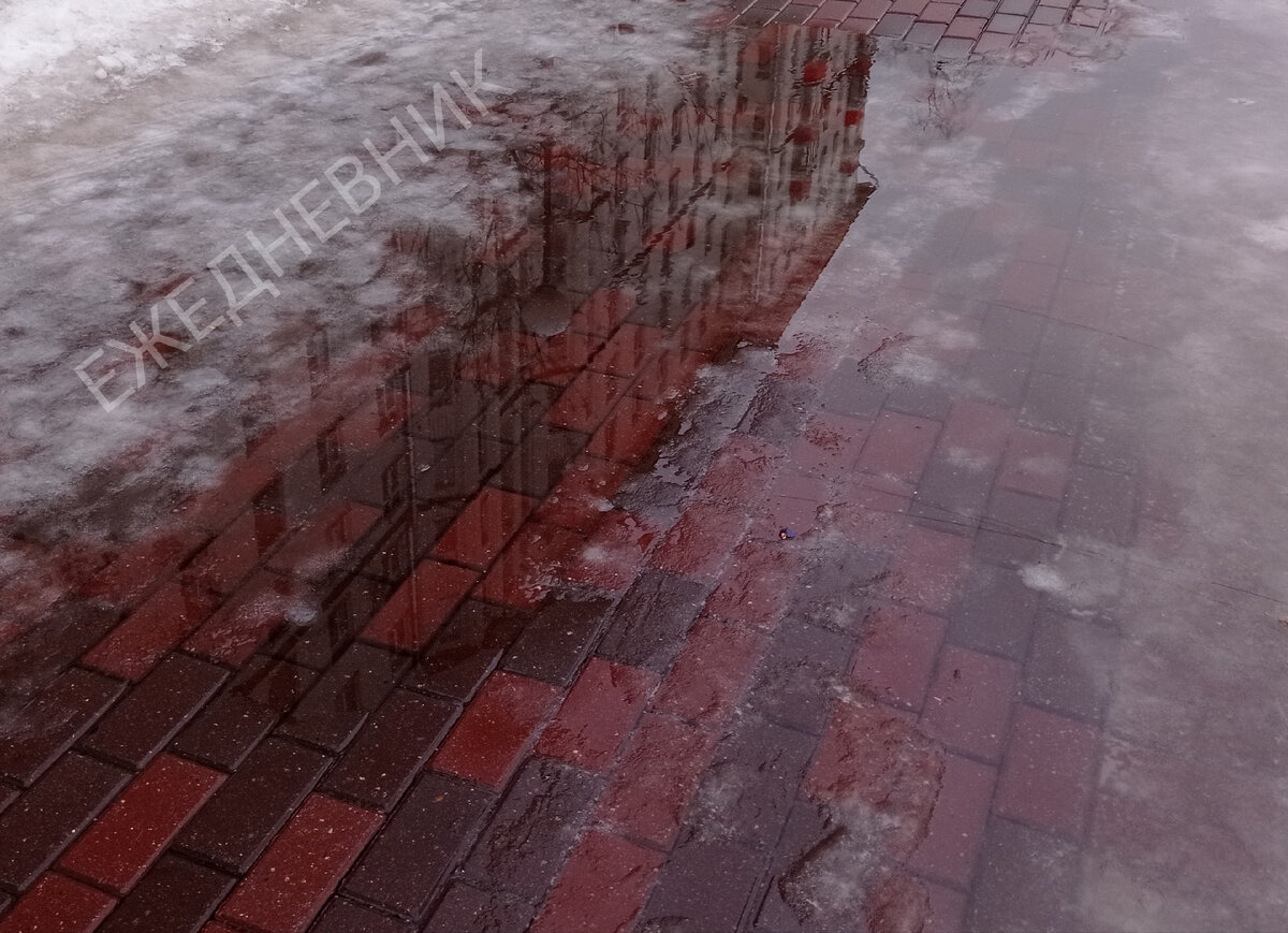 Ежедневник