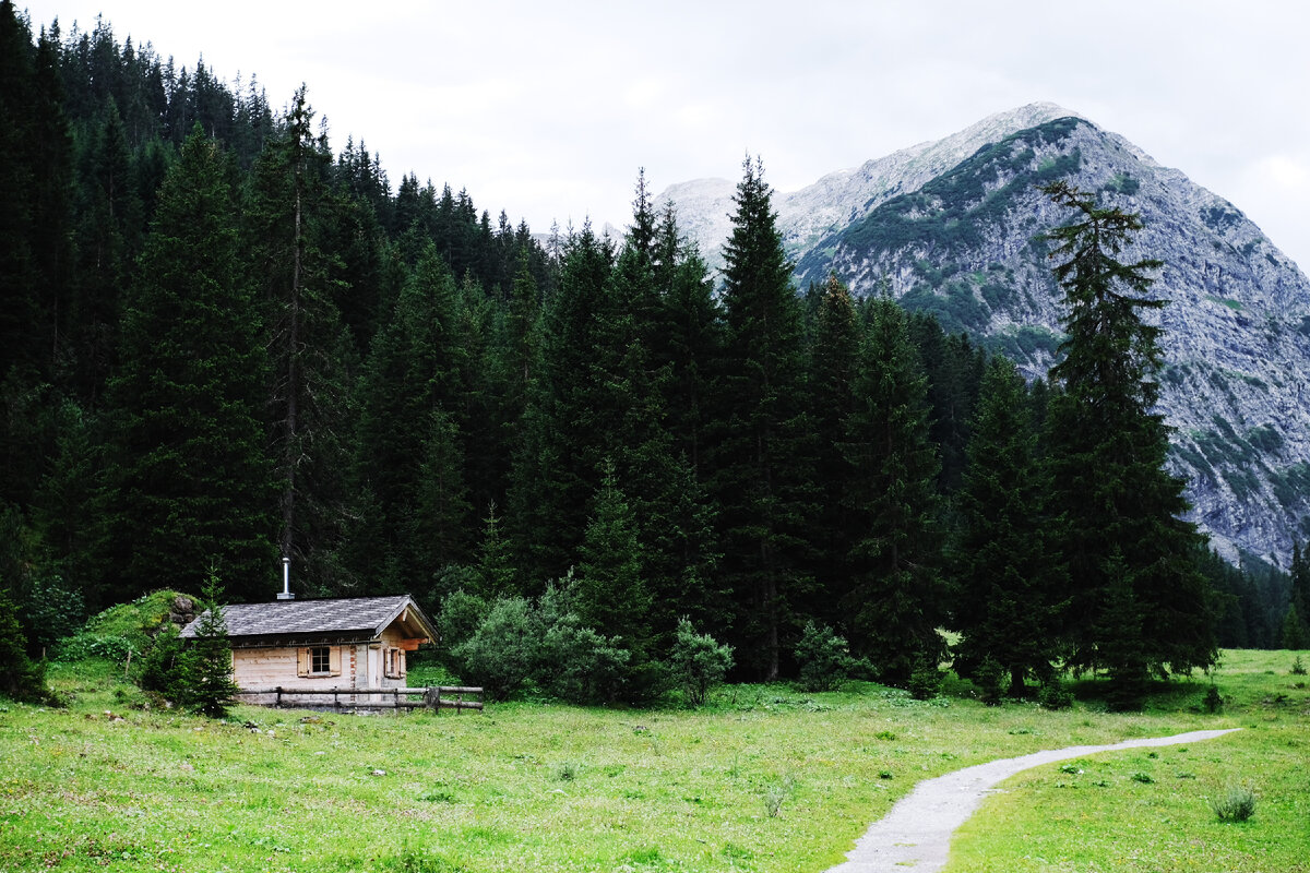 Photo by Julius Reinhardt on Unsplash