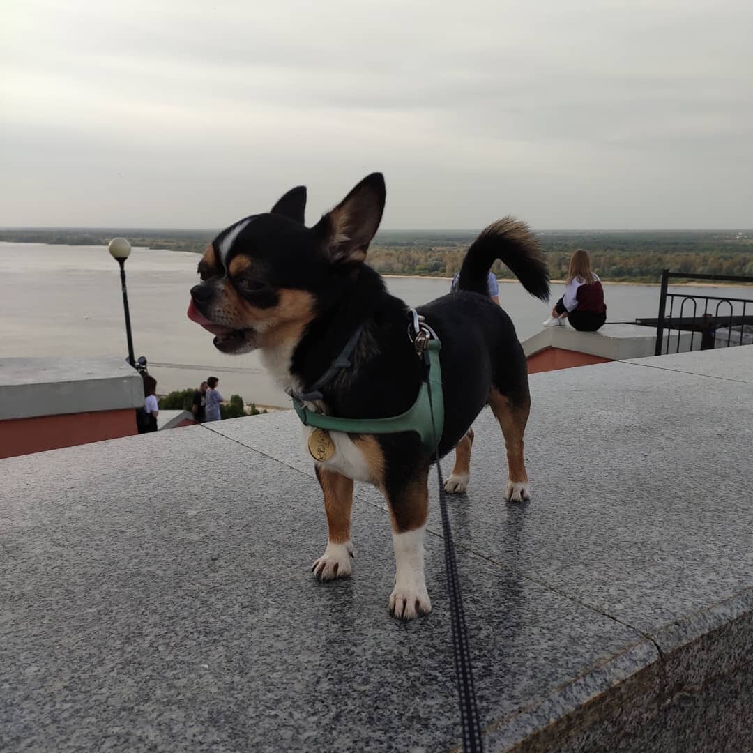 набережная - вечерело