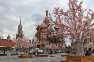    Фото: mosmolnija.ru Валерия Трофимова