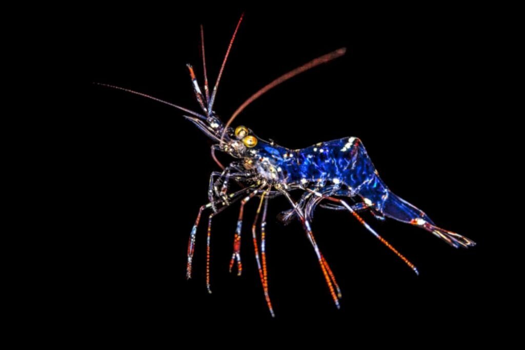    Фото: Tobias Friedrich