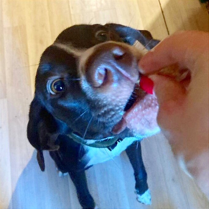 Лампа занимается) 