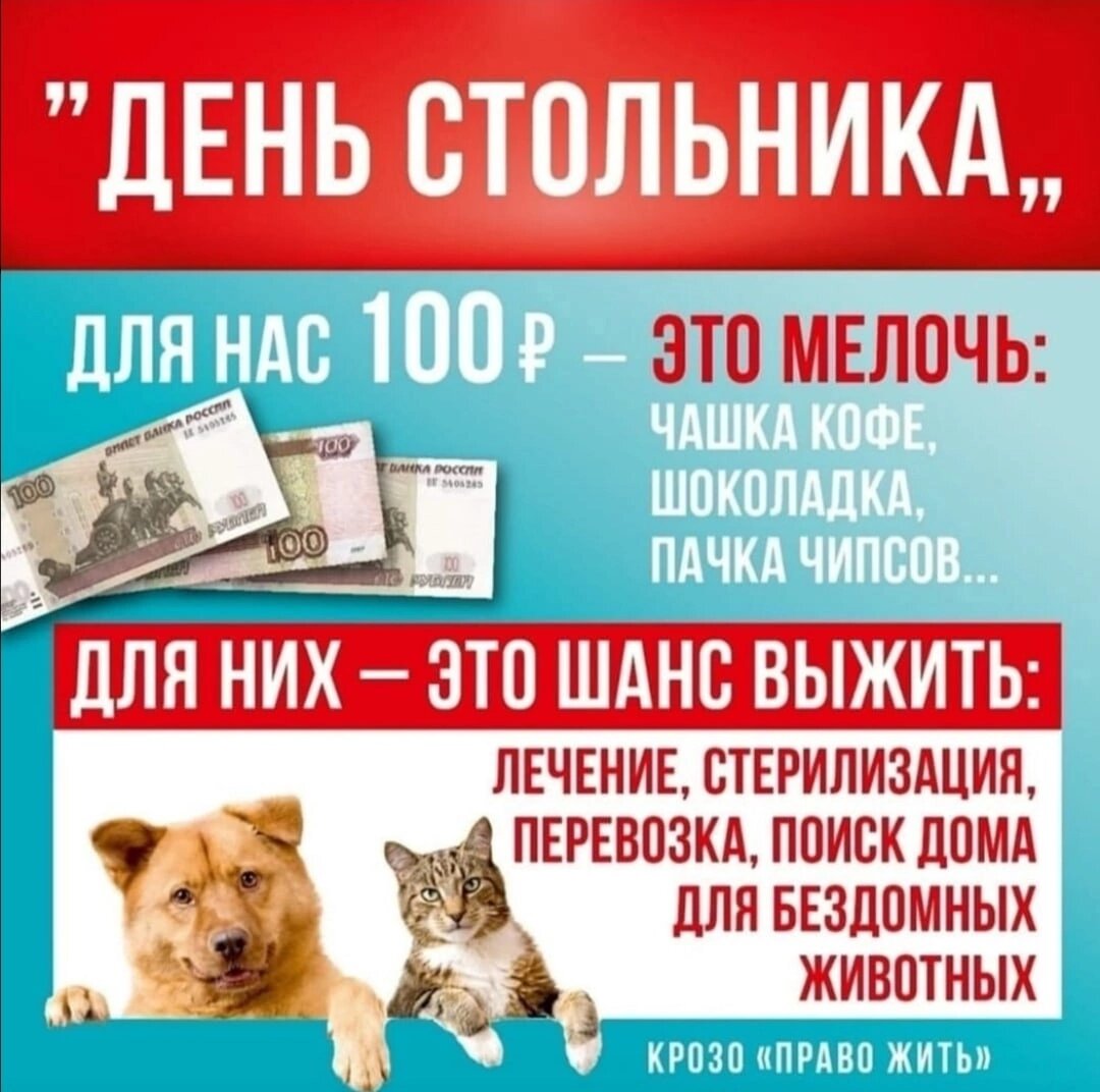 День стольника картинки