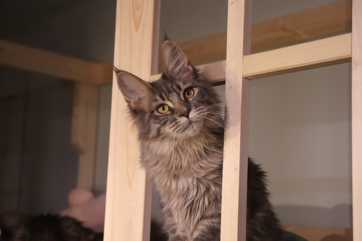 Фото из личного архива.