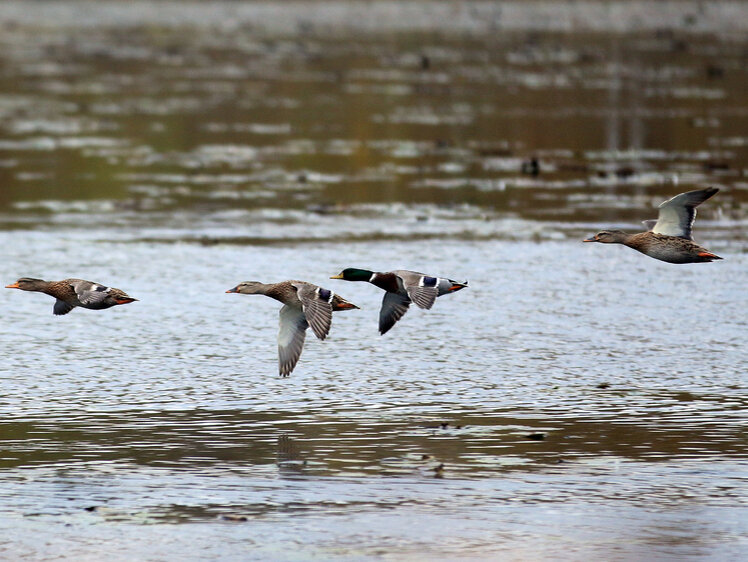     Фото Геннадий Черкасов/Московский комсомолец